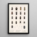 Insecta Coleoptera Pl 041 - Frederick DuCane Godman — gerahmtes Bild an der Wand