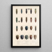 Insecta Coleoptera Pl 063 - Frederick DuCane Godman — gerahmtes Bild an der Wand
