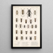 Insecta Coleoptera Pl 228 - Frederick DuCane Godman — gerahmtes Bild an der Wand
