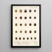 Insecta Coleoptera Pl 298 - Frederick DuCane Godman — gerahmtes Bild an der Wand