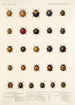 Insecta Coleoptera Pl 298 - Frederick DuCane Godman — Ansicht des Kunstwerks