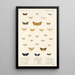 Insecta Lepidoptera Heterocera Pl 013 - Frederick DuCane Godman — gerahmtes Bild an der Wand