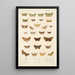 Insecta Lepidoptera Heterocera Pl 023 - Frederick DuCane Godman — gerahmtes Bild an der Wand