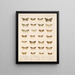 Insekten Lepidoptera Heterocera Pl 056 - Frederick Du Cane Godman — gerahmtes Bild an der Wand