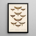 Insecta Lepidoptera Heterocera Pl 066 - Frederick DuCane Godman — gerahmtes Bild an der Wand