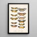 Insecta Lepidoptera Rhopalocera Pl 001 - Frederick DuCane Godman — gerahmtes Bild an der Wand