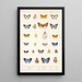 Insecta Lepidoptera Rhopalocera Pl 047 - Frederick DuCane Godman — gerahmtes Bild an der Wand