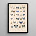 Insecta Lepidoptera Rhopalocera Pl 053 - Frederick DuCane Godman — gerahmtes Bild an der Wand