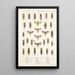 Insecta Rhynchota Hemiptera Homoptera Pl 32 - Frederick DuCane Godman — gerahmtes Bild an der Wand