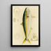 Fische IV - Frederick McCoy — gerahmtes Bild an der Wand