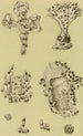 Bryozoaires IX - Frederick McCoy — Ansicht des Kunstwerks