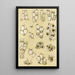 Bryozoaires XVII - Frederick McCoy — gerahmtes Bild an der Wand