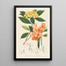 Annales des botanischen Museums - Friedrich Anton Wilhelm Miquel — gerahmtes Bild an der Wand