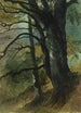 Ausschnitt aus dem Wald - Friedrich August Matthias Gauermann — Ansicht des Kunstwerks