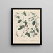 Buch über giftige Pflanzen Pl14 - Friedrich Berge — gerahmtes Bild an der Wand