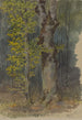 Studie eines sich verzweigenden Zweigs - Friedrich Carl von Scheidlin — Ansicht des Kunstwerks