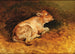 Ein liegender Kalb - Friedrich Gauermann — Ansicht des Kunstwerks