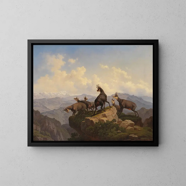 Chamois im Karwendel - Friedrich Hohe — gerahmtes Bild an der Wand