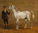 Graues Pferd mit Kavallerieoffizier - Friedrich Voltz — Ansicht des Kunstwerks