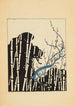 Bijutsukai Pl156 - Furuya Korin - Furuya Korin — Ansicht des Kunstwerks