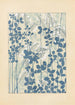 Bijutsukai Pl157 - Furuya Korin - Furuya Korin — Ansicht des Kunstwerks