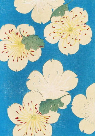 Furuya Krin - Bijutsukai Pl166.webp