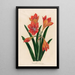 Amaryllis mexicana - Gaetano Savi — gerahmtes Bild an der Wand