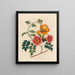 Bignonia grandiflora - Gaetano Savi — gerahmtes Bild an der Wand