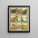 Squash - Genesee Valley Lithograph & Co.. — gerahmtes Bild an der Wand