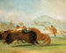 Baptiste und ich laufen dem Maul des Büffels im Yellowstone nach - George Catlin — Ansicht des Kunstwerks