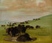 Bisons dans un trou d'eau - George Catlin — Ansicht des Kunstwerks