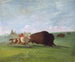 Jagd auf Büffel, ein einziger Tod - George Catlin — Ansicht des Kunstwerks