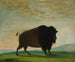Kuh Büffel weidend auf der Wiese - George Catlin — Ansicht des Kunstwerks