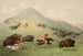 Jagd auf Bisons zu Pferd - George Catlin — Ansicht des Kunstwerks