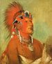 Jeehohshah kann nicht als Krieger zu Boden geworfen werden - George Catlin — Ansicht des Kunstwerks