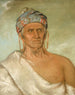 Laylwshekaw remonte la rivière, un vieux chef - George Catlin — Ansicht des Kunstwerks