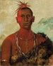 Nh-ses-kuk Whirling Thunder, ältester Sohn von Black Hawk - George Catlin — Ansicht des Kunstwerks