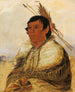 Ni-a-c-mo Fix mit dem Fuß eines Tapferen - George Catlin — Ansicht des Kunstwerks