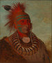No-ho-mun-ya Der, der keine Aufmerksamkeit schenkt - George Catlin — Ansicht des Kunstwerks