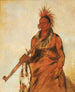 Noomnnee marche sous la pluie en guerrier - George Catlin — Ansicht des Kunstwerks