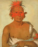 Pasheepah Little Stabbing Chief, der jüngste der Black Hawks Braves - George Catlin — Ansicht des Kunstwerks
