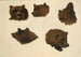 Portraits von zwei Grizzlis nach der Natur - George Catlin — Ansicht des Kunstwerks