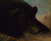 Portraits eines Grizzlybären und einer Maus in Originalgröße - George Catlin — Ansicht des Kunstwerks