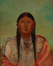 Ru-Ton-Wee-Me Taube auf dem Flügel - George Catlin — Ansicht des Kunstwerks