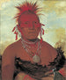 Chef des Pferde Shn-Ka-Ki-Hega Großer Häuptling der Pawnee - George Catlin — Ansicht des Kunstwerks