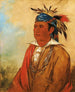 WahPnJeeA Der Schwan ein Krieger - George Catlin — Ansicht des Kunstwerks
