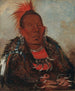 WahRoNeSah, der Anführer der umzingelten Stammes - George Catlin — Ansicht des Kunstwerks