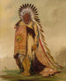 WnEeTon Chef der Stammesführer - George Catlin — Ansicht des Kunstwerks