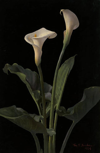 George Cochran Lambdin - Calla Lilies.webp