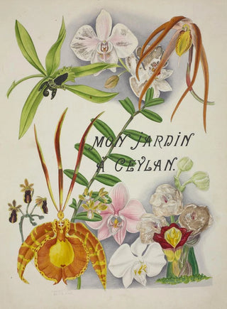 George De Alwis - Mon Jardin a Ceylan Pl003.webp